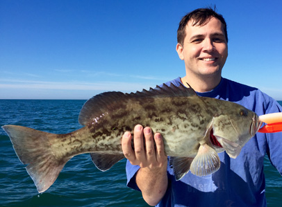 Angling Adventures Gag Grouper