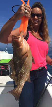Angling Adventures Red Grouper
