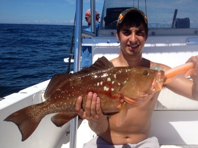 Angling Adventures Red Grouper